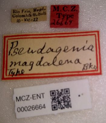 Media type: image;   Entomology 26664 Aspect: labels